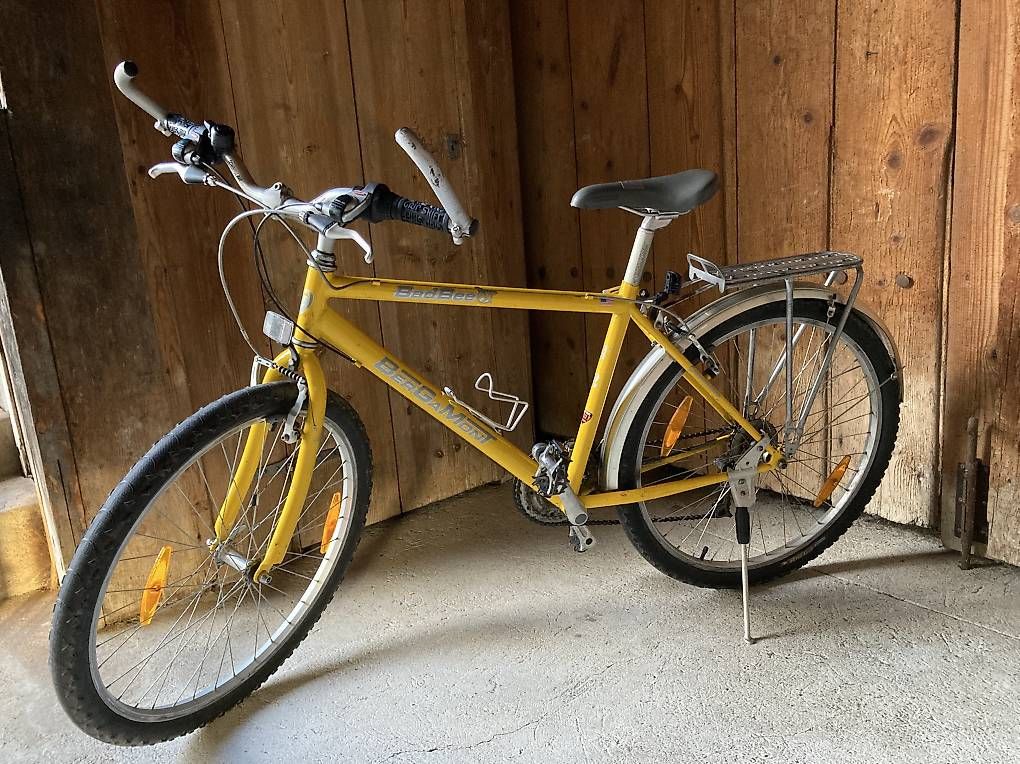 Biciclette: Mountainbike – Usato da Bolligen venduto da abara1