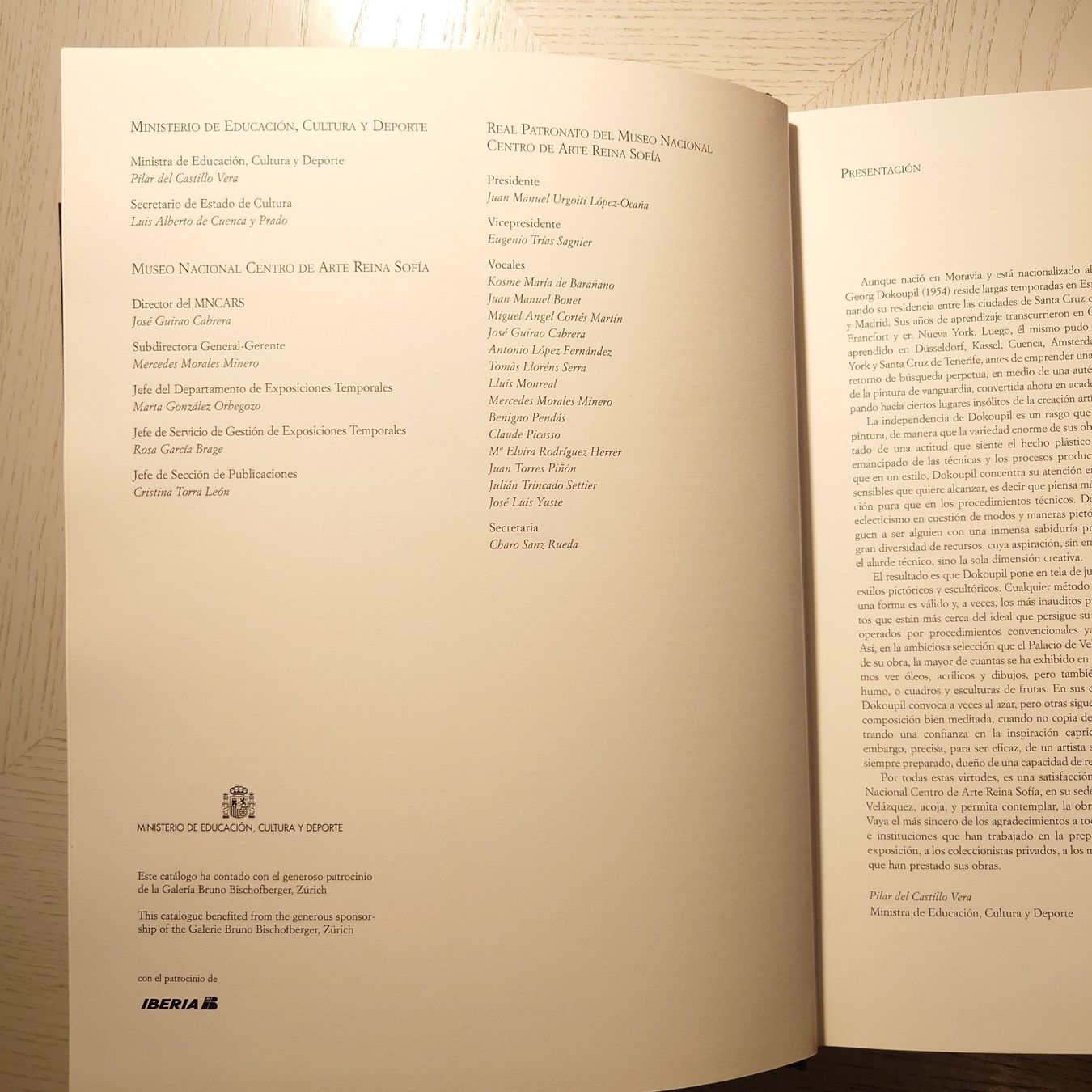 Bücher: DOKOUPIL. Lieber Kunstfreund, ich bin ein.... Rar. Kunstbuch – Gebraucht aus Zürich von Simple23 5