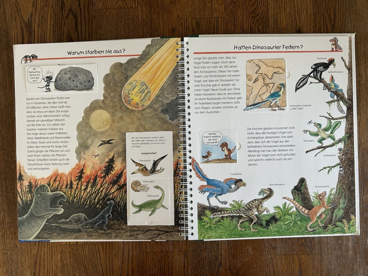 Libri: Kinderbuch Wir erforschen die Dinosaurier  Ravensburger – Usato da Wolhusen venduto da eve_m6cg 2