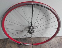 Vorderrad Alexrims/Shimano, 28/29" 9x100mm, 6-Loch