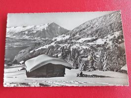 Beatenberg mit Niesenkette 1941