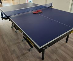 Tischtennis Tisch (FT950 Club)