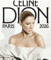 Concert de Céline Dion à Paris