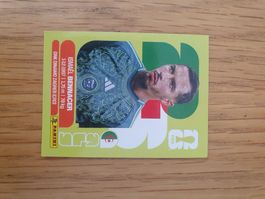 Panini ALG 8
