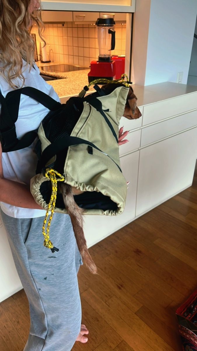 Sacs à dos: Ugo Backpack für Dackel – D'occasion à Chiasso par ste_y2ng 5