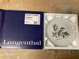 Langenthal Wandteller Crataegus Ox, Neuwertig im Karton