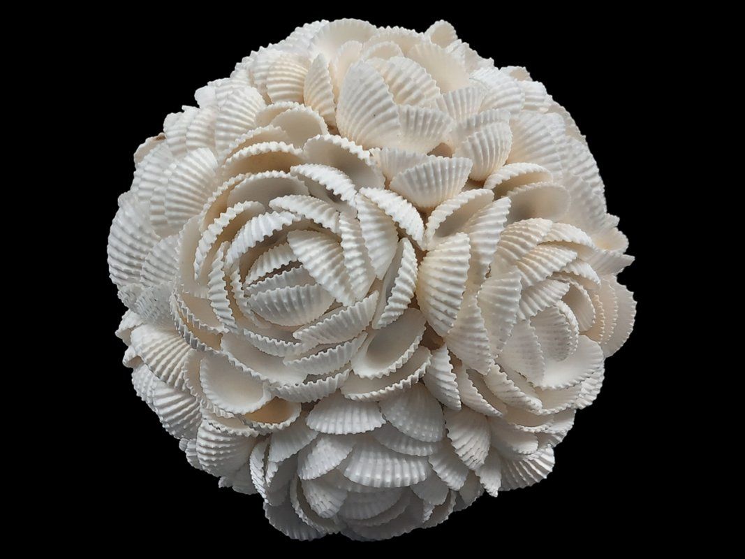 Tutte le decorazioni: Muschelkugel Rosenmuster – Usato da Hünenberg venduto da Restwert_Zug 2