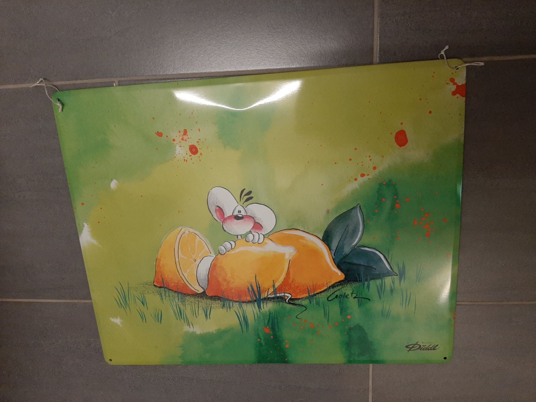 Wandtafeln: Grosse Diddl Magnettafel – Gebraucht aus Rickenbach ZH von clu87