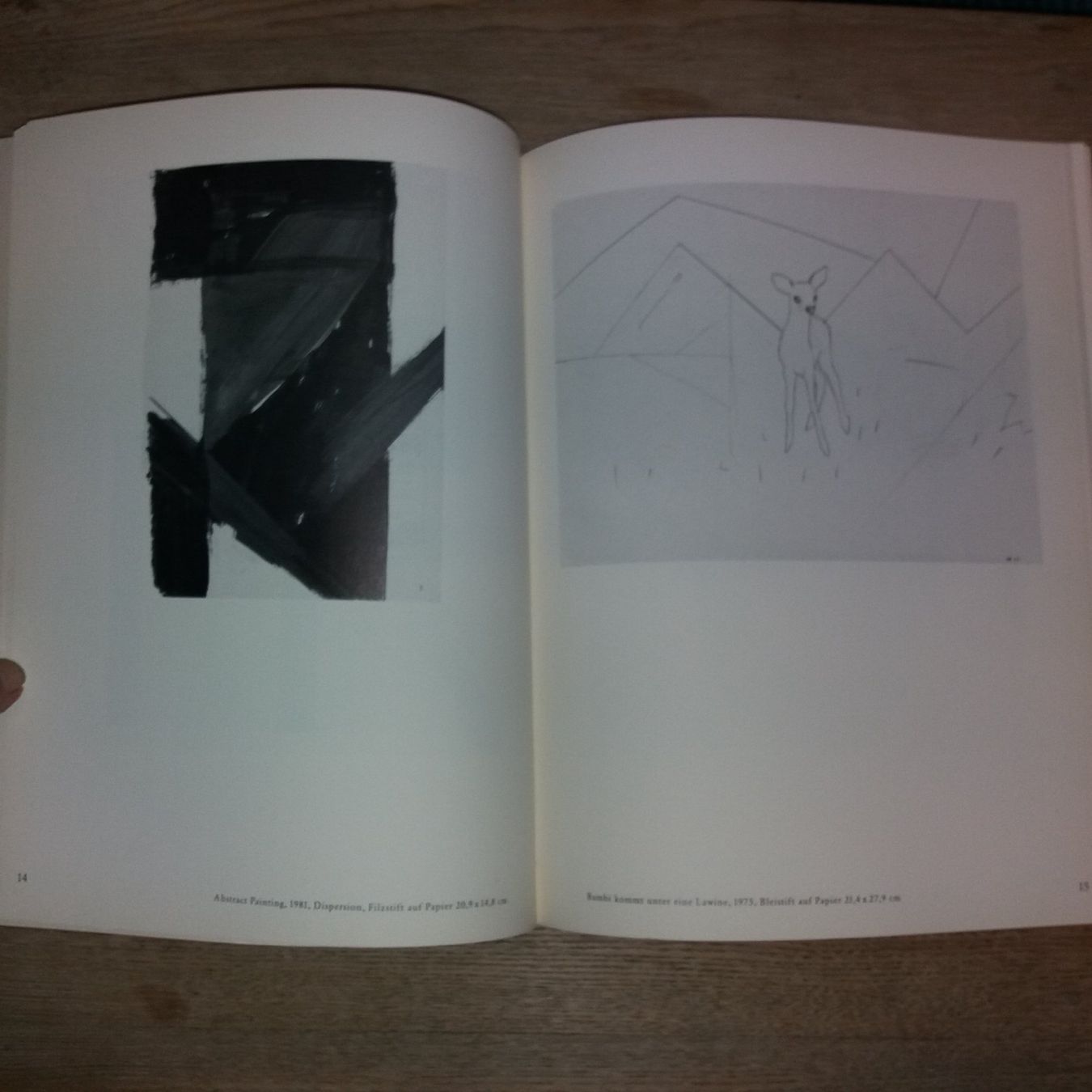 Libri: KUNSTKLASSIK Helmut Federle sehr selten – Usato da Welschenrohr venduto da Regool 8