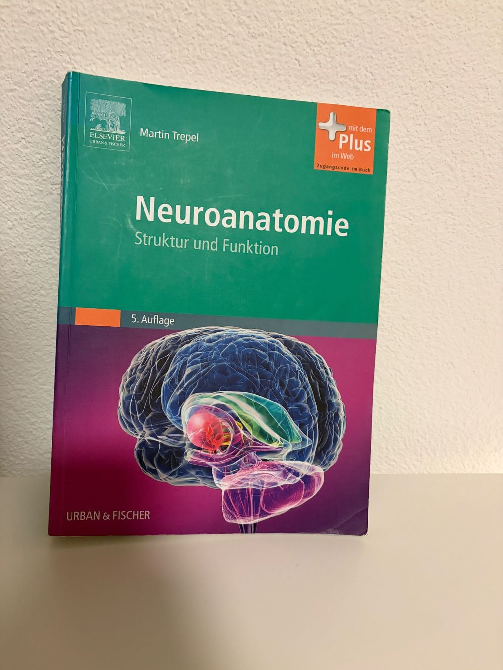 Bücher: Neuroanatomie, 5. Auflage – Gebraucht aus Liebefeld von lau_dfv9
