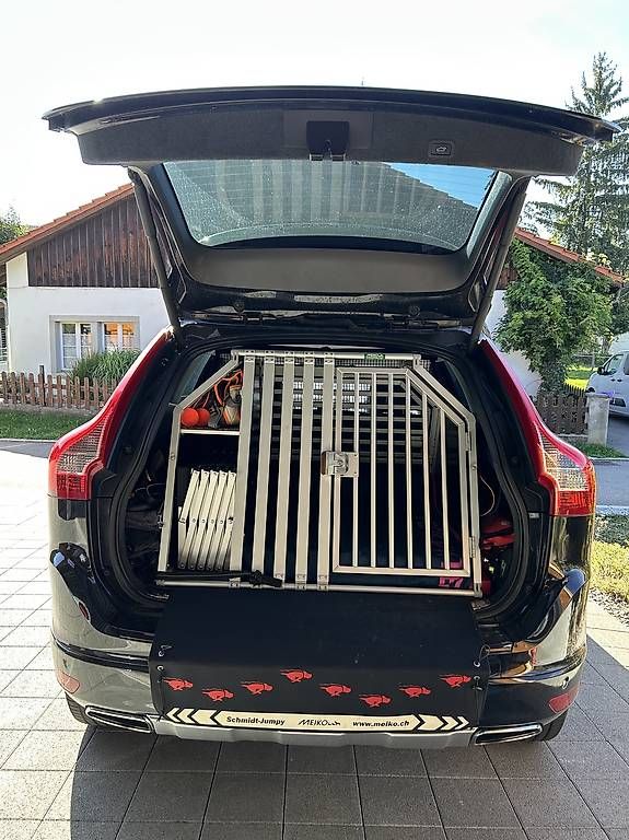 Käfige, Transport & Sicherheit: Hundebox – Gebraucht aus Fornet-Dessus von M.Tum