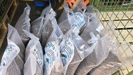 Restposten 12x Anti-Gliss Streu, 5 kg Sack, Neu und OVP
