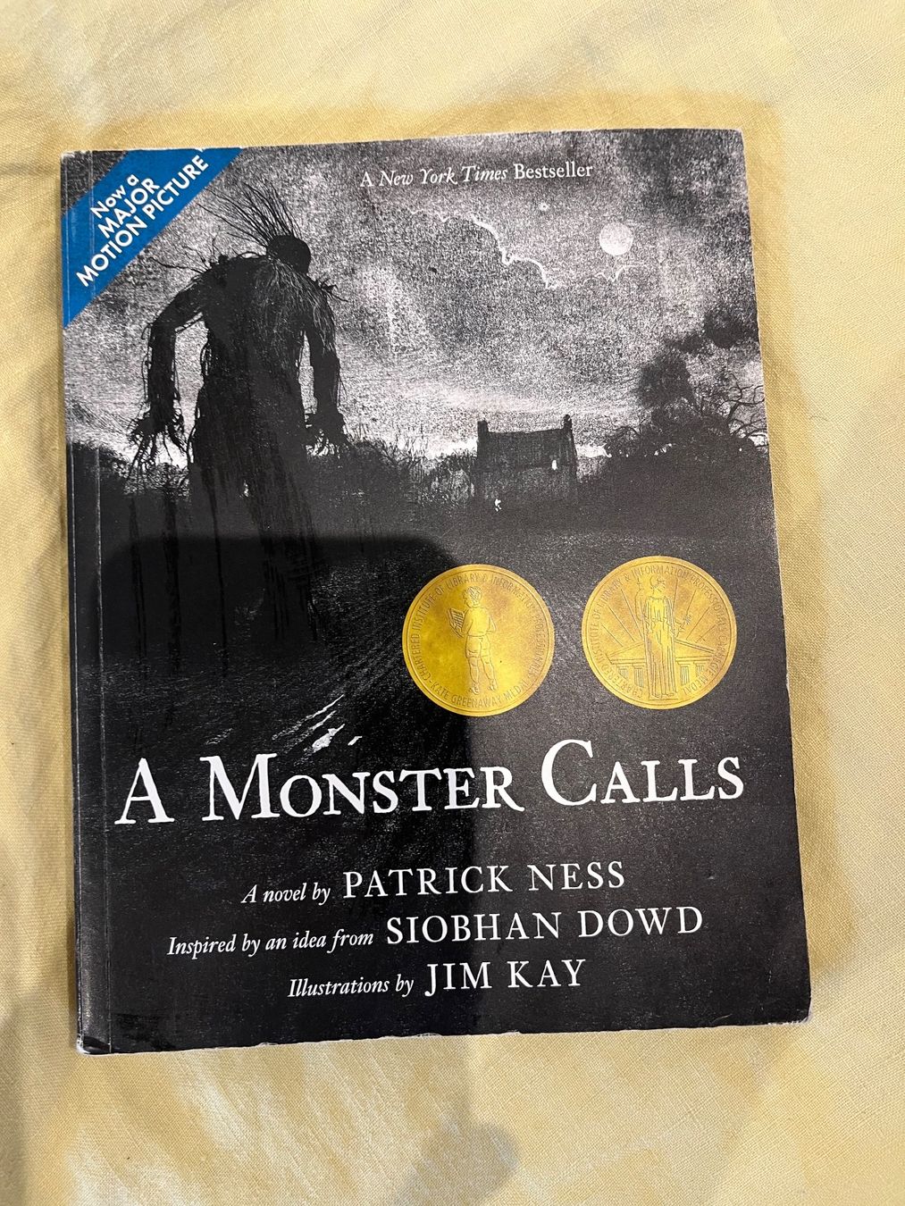 Libri: A Monster Calls – Usato da Zürich venduto da gemuesebouillon