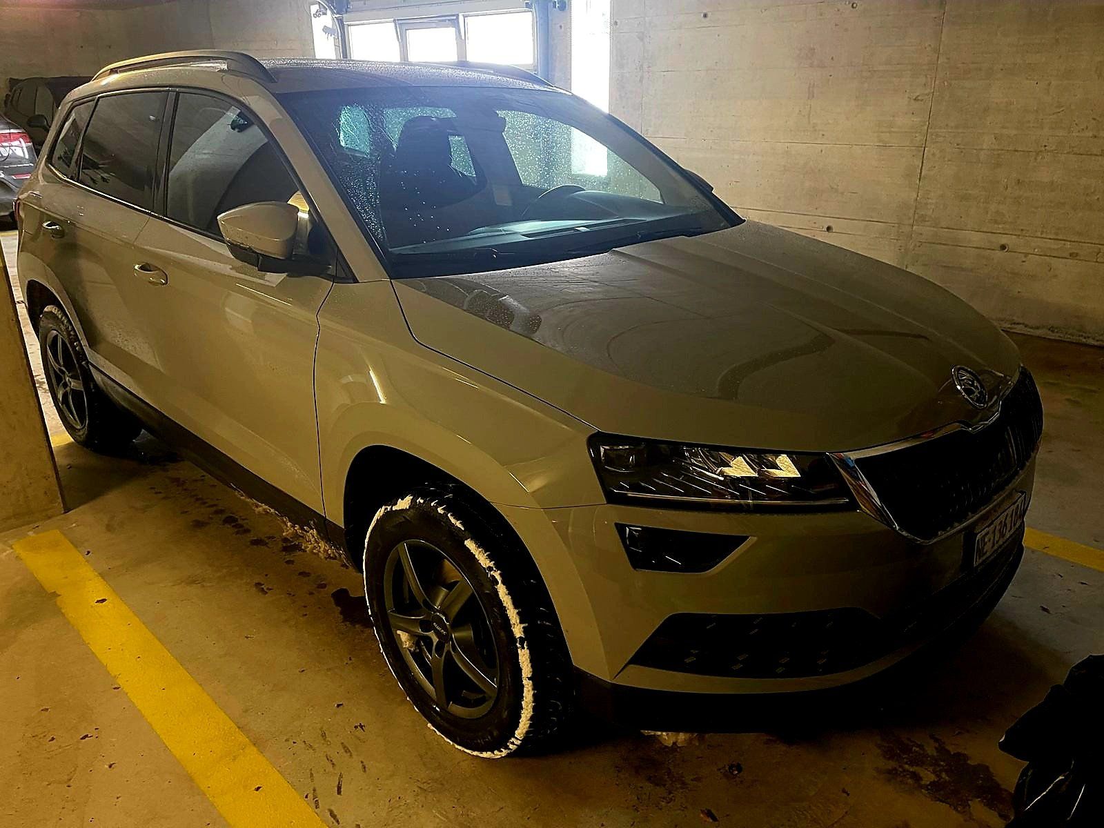 Erstaunlich Winterreifen Skoda Karoq 15 Tsi Bilder