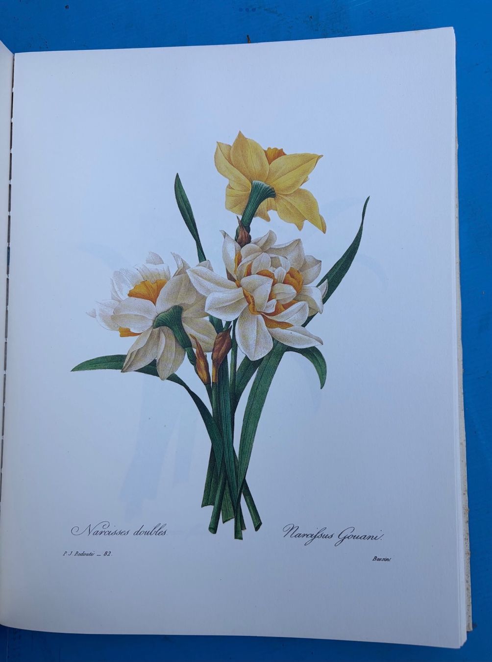 Bücher: Buch die schönsten Blumen – Gebraucht aus Altendorf von Sonnensch5 2