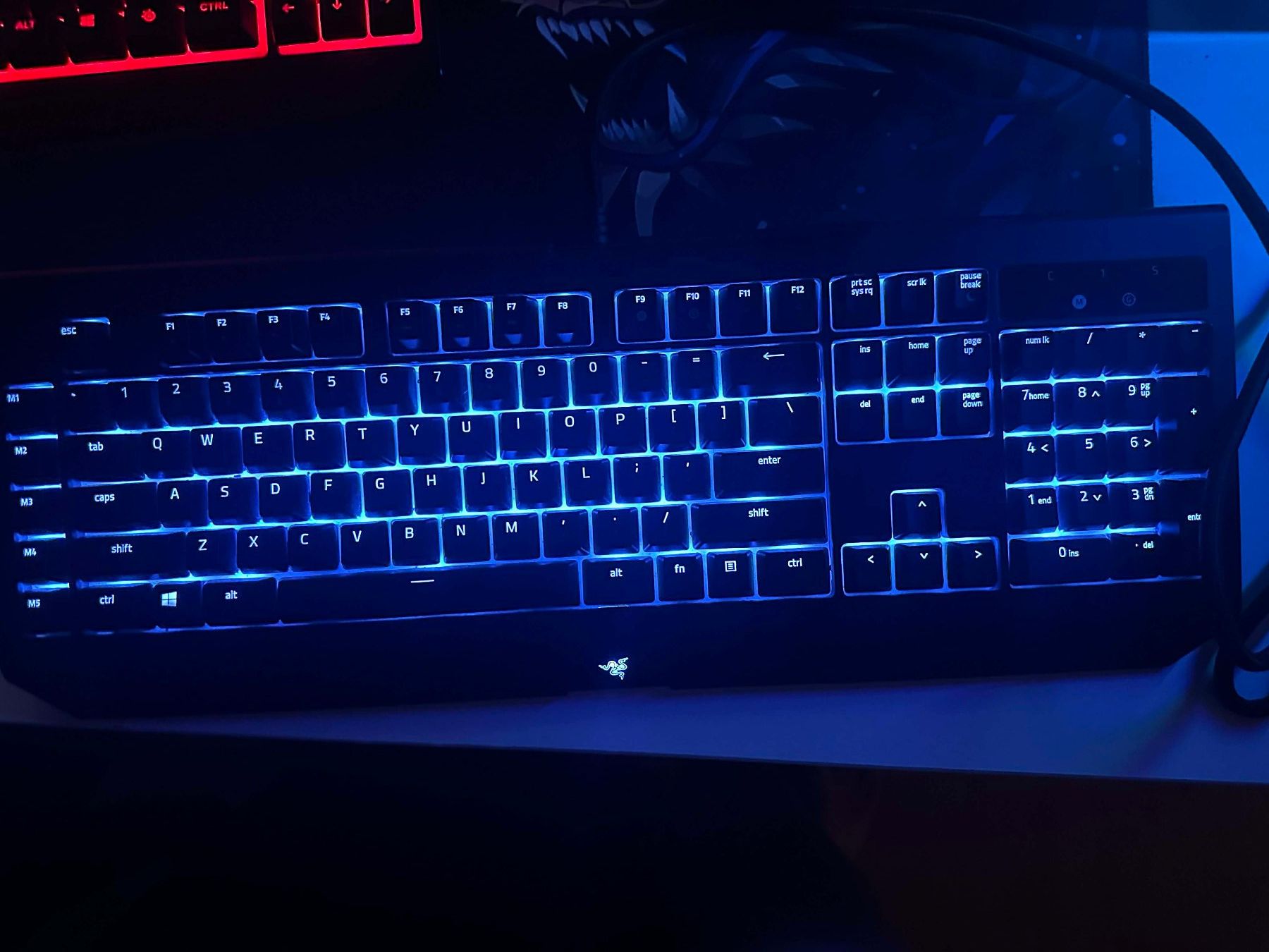Tastiere: Razer Blackwidow V2 Chroma / Green Switches – Usato da Schaffhausen venduto da ski_s2bf 1