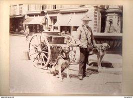 Luzern LU Milchmann mit Wagen und Zughunden foto 1890 25 X20