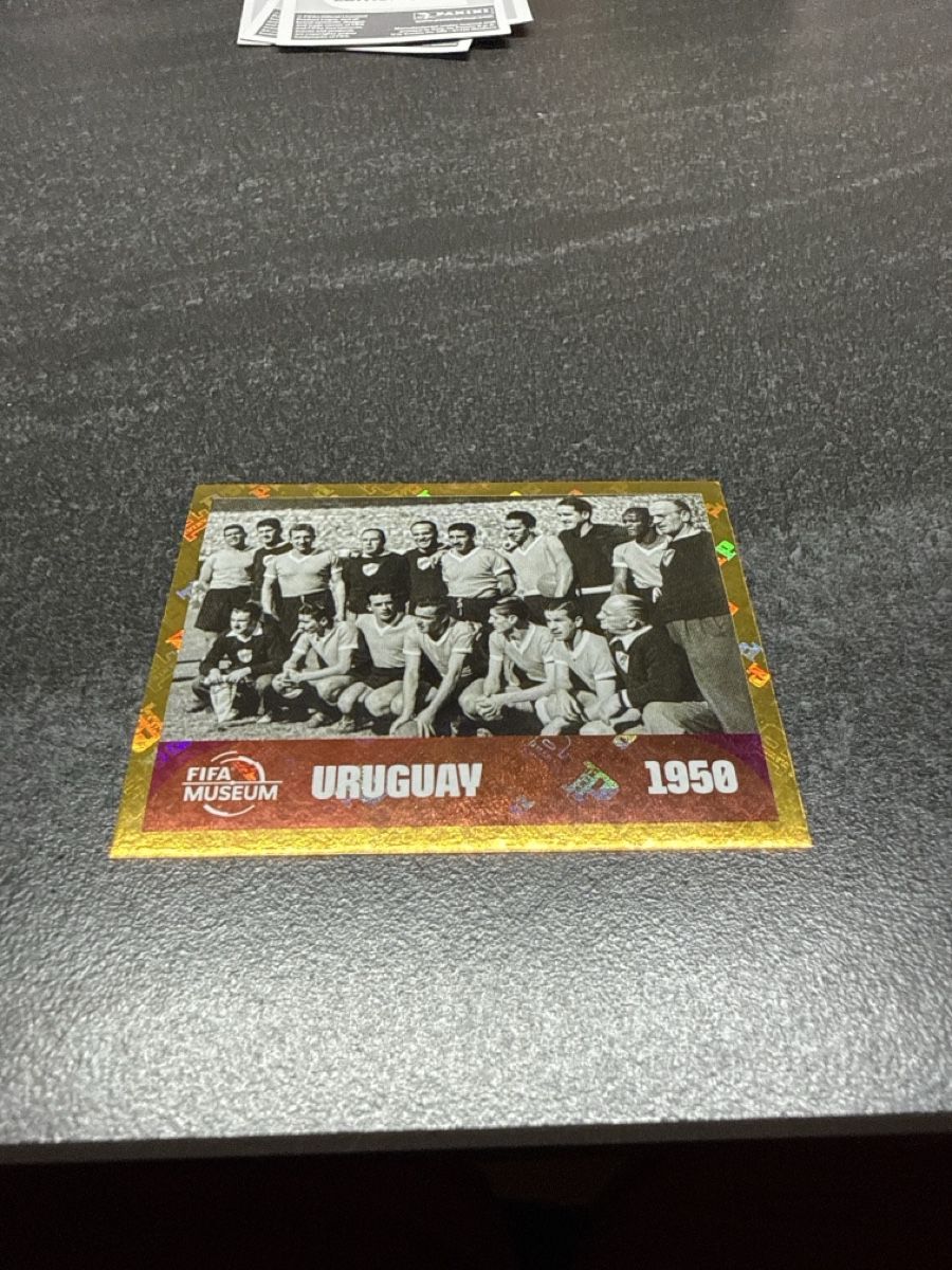 Panini Carte collezionabili: FIFA Panini FWC 10 – Nuovo e nell'imballaggio originale da Langwiesen venduto da xan_8pfb