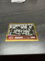 FIFA Panini FWC 10