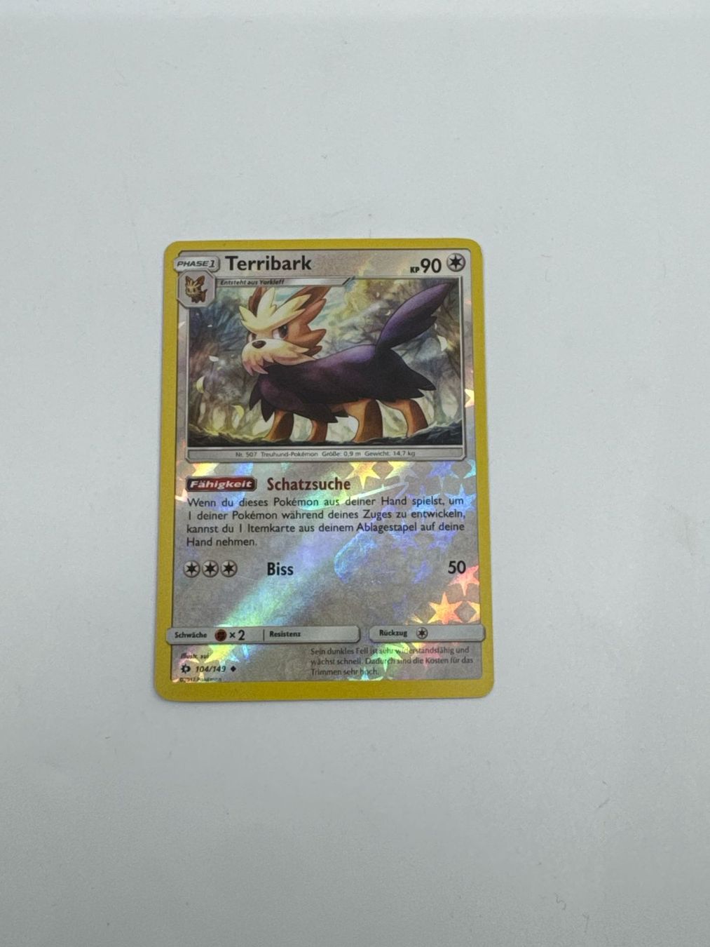 Pokémon Sammelbilder & Trading cards: Pokemon-Karte Terribark 104/149 – Gebraucht aus Herisau von Seyashop1
