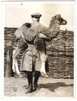 Fotografie Whipsnade, Zoologischer Garte