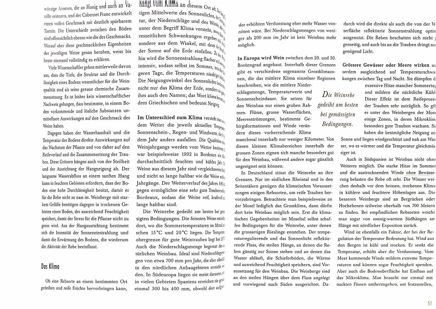 Libri: Weinsein - Vom Weinberg bis ins Glas – Usato da Sarnen venduto da Livres 6