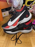 Basketballschuhe zoom freak 2