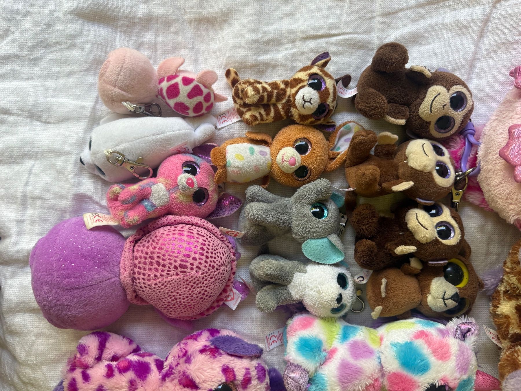 Ty Giocattoli: Beanie Boo Collection – Usato da Herrliberg venduto da ele_yzk8 3