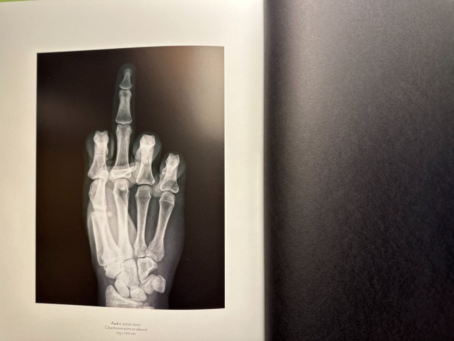 Libri: Wim Delvoye. Museum Tinguely Basel 2017 – Usato da Zürich venduto da allp 7
