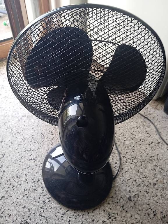 Ventilatori: Ventilator Satrap VT16-30 schwarz Modell G30 – Usato da Basel venduto da Petergunn 2