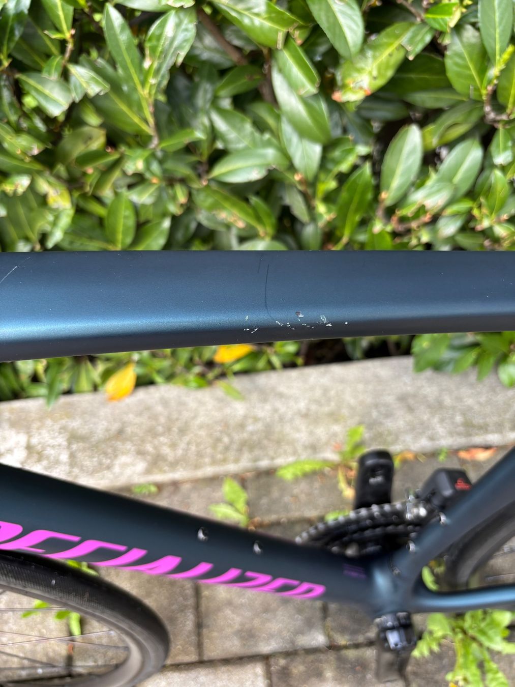 Specialized Velos: Specialized Tarmac SL7 Comp Shimano 105 Di2 – Gebraucht aus Chur von 73179632 4
