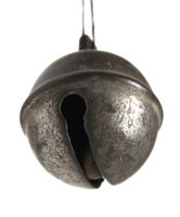 Rollschelle , Umfang ca.15 cm. Höhe ca. 7 cm