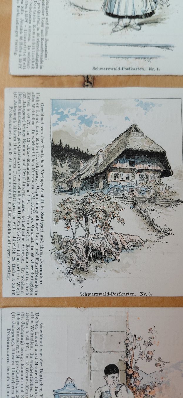 Cartoline postali: 8 antike Schwarzwald Postkarten, Lithogrofien – Usato da Trogen venduto da Limboo 5