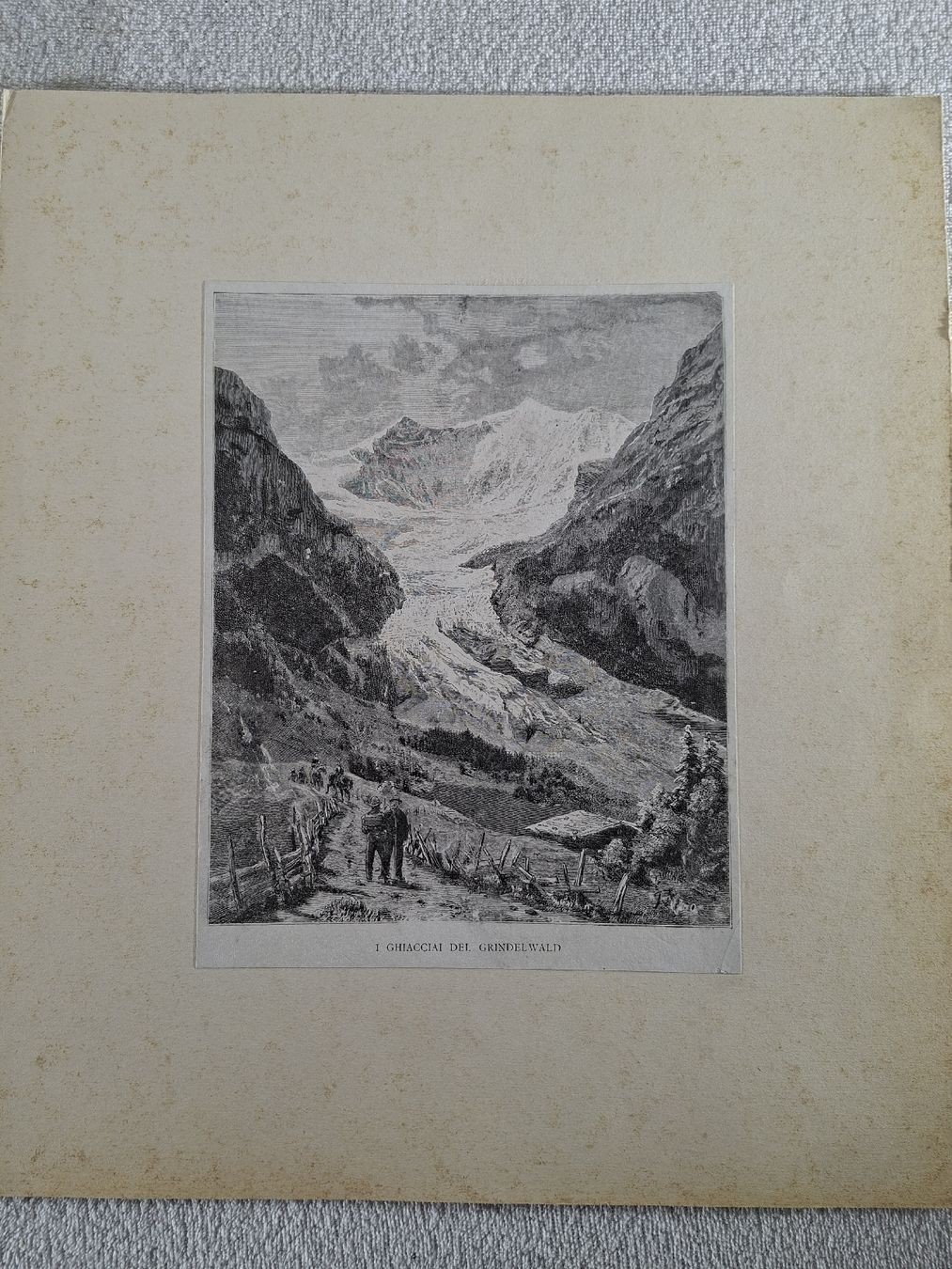 Incisioni: Lot 32 , 5 Stiche  – Usato da Grindelwald venduto da carro5