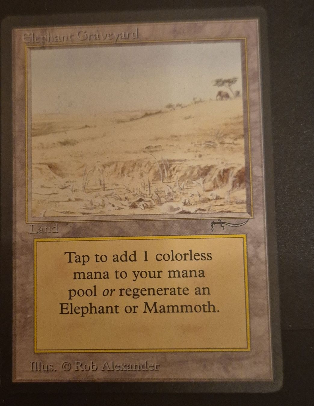 Magic The Gathering Carte collezionabili: Carte Magic Elephant Graveyard bon état – Nuovo (secondo la descrizione) da Genève venduto da Bayoushi