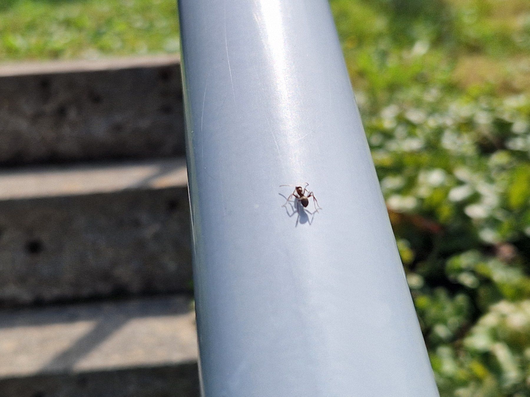 Balustrades: Geländer Garten Handlauf, metall, grau – D'occasion à Luzern par ricola50 6