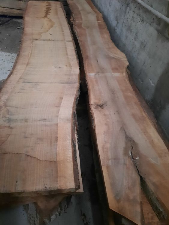 Articoli in legno: Nussbaum Klotzbretter-Stamm – Usato da Chur venduto da ivon68 2