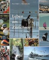 Leben am Zürichsee