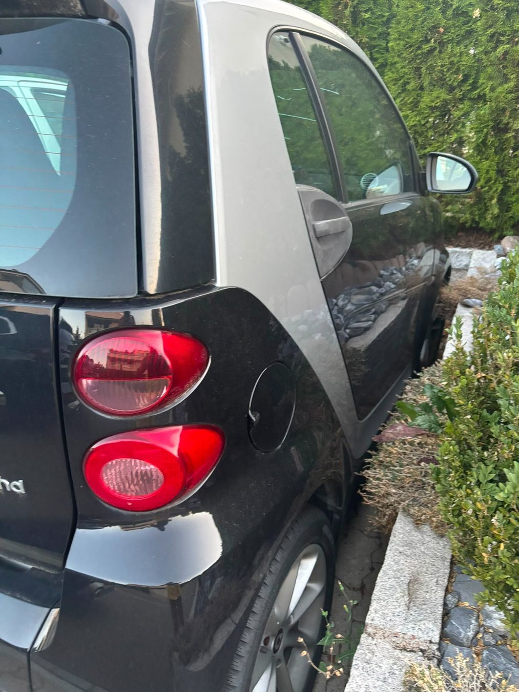Smart Automobili: Smart fortwo coupé mhd – Usato da Oberglatt ZH venduto da Luz01 5
