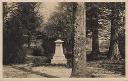 Alte Ansichtskarte St. Petersinsel Monument Rousseau 1930