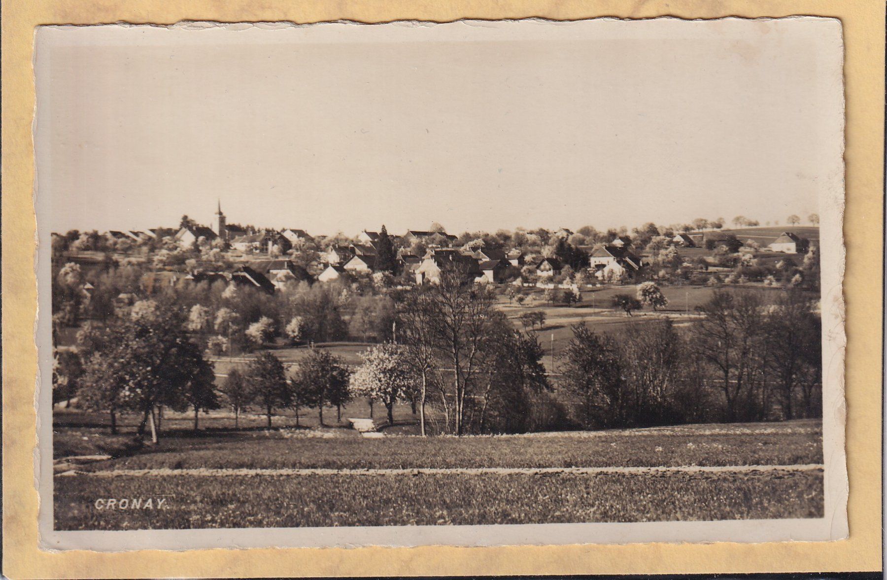Cartes postales: Cronay - le village - 1939 – D'occasion à Orvin par Pyaeschli