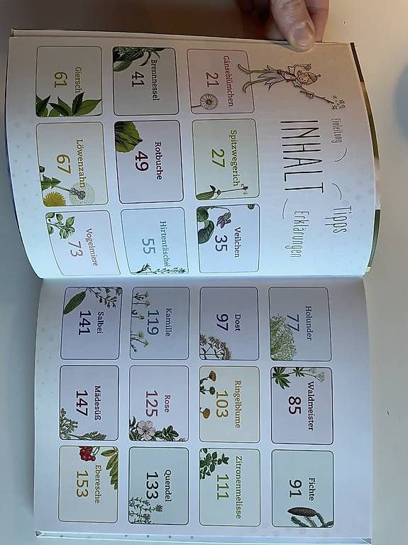 Libri: Kräuternest (Buch) Iris Theres Lins – Usato da Nesslau venduto da philgujer1 2