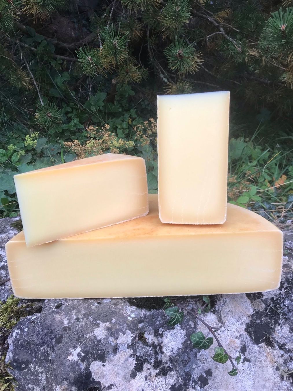 Lebensmittel & Spezialitäten: Berner Alpkäse AOP 2025 – Neu und originalverpackt aus Hasliberg-Goldern von flowerbauer74 1