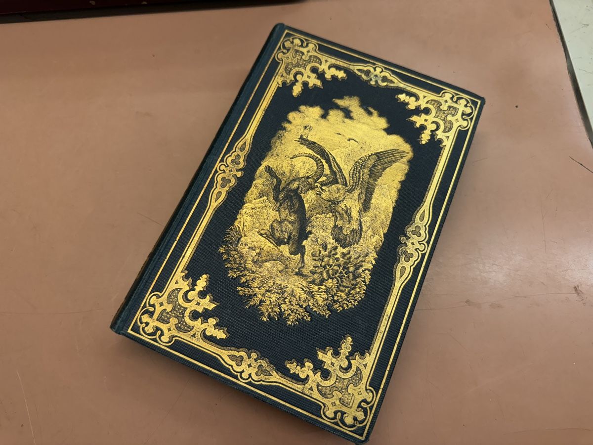 Libri: Buch Das Tierleben der Alpenwelt  1858 – Usato da Chur venduto da Meriva0
