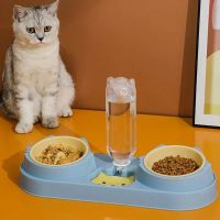 NEU ✅ Doppel-Futterstation Katze/Hund mit Wasserspen