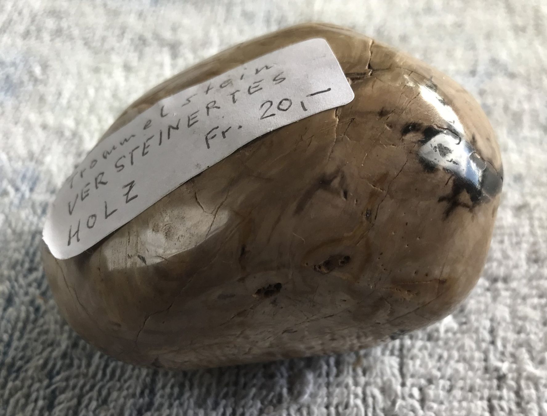 Fossili: VERSTEINERTES HOLZ – Usato da Ostermundigen venduto da Kari1937 1
