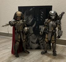 Hot Toys AVP Scar Pedator & Elder Predator 1/6