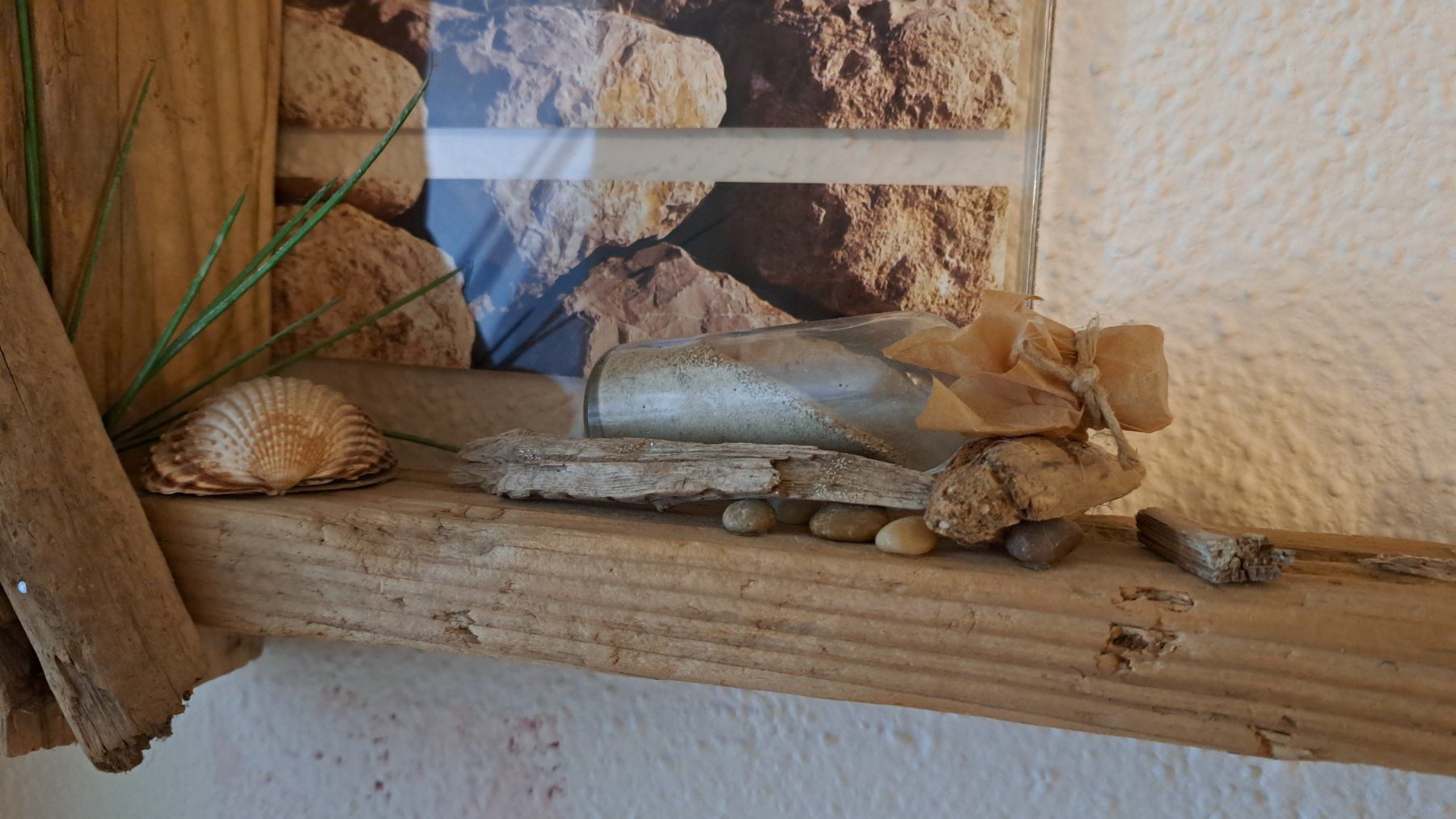 Foto & Immagini: Schwemmholzbilder – Usato da Kleindöttingen venduto da Strandgut88 8