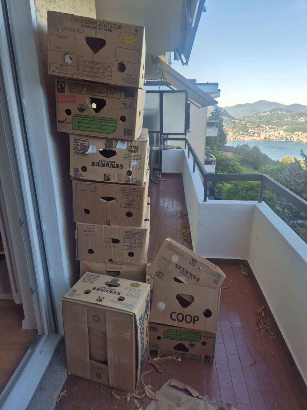 Cartoni: Regalo scatole x trasloco – Usato da Aldesago venduto da Ivo47x
