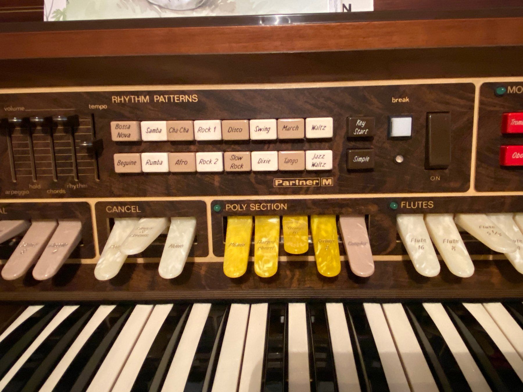 Strumenti musicali: Heimorgel Farfisa Louvre – Usato da Lachen SZ venduto da TALJB 3